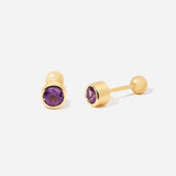 February Amethyst Birthstone Stud Ball Back Earrings