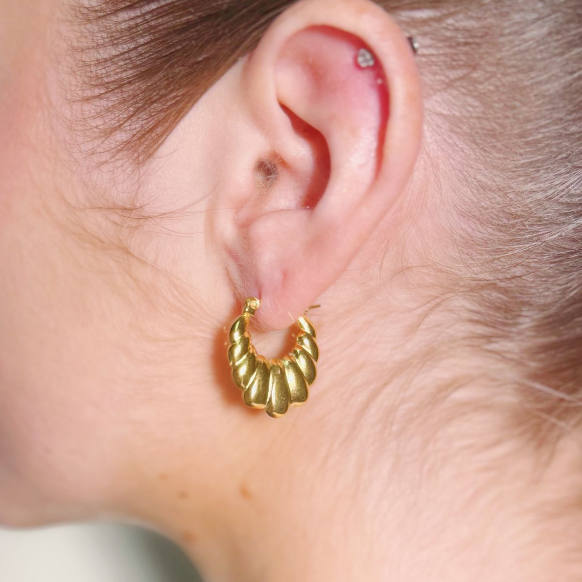 Croissant Twisted Hoop Earrings