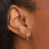 Snake Huggie Hoop Earrings | The Year of The Snake Collection